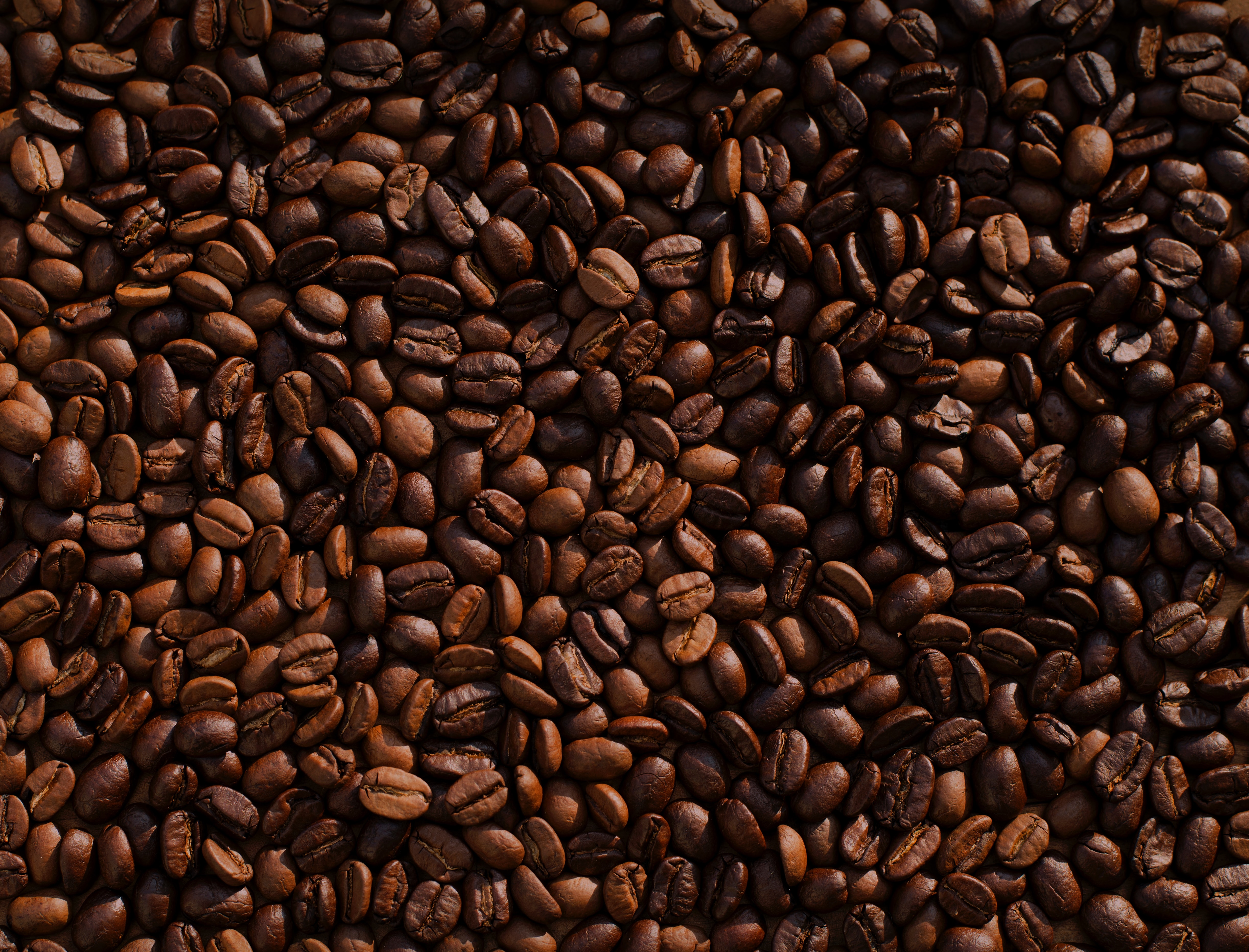 Beans